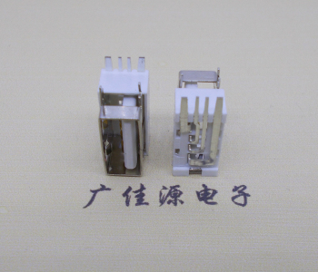 辽宁USB侧立式短体10.0尺寸 侧插加宽脚5A大电流插座