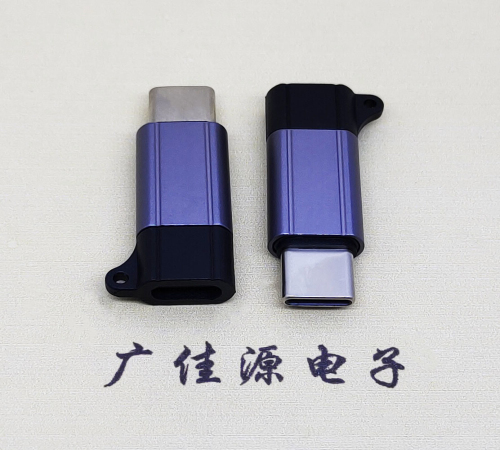 辽宁Type-C母转Type-C公 USB3.1 PD100W快冲接口